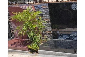 树葬的主要特点